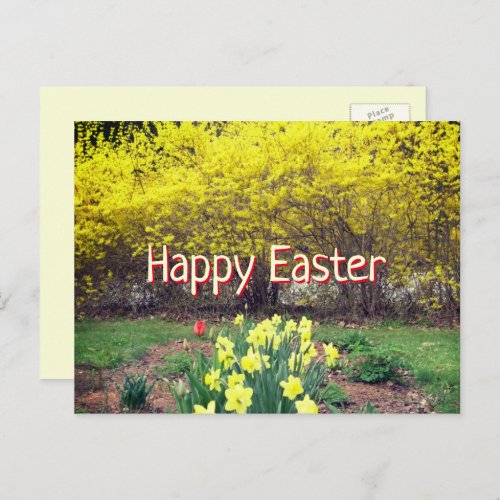 Easter Greeting Scripture Forsythia and Daffodils  Postcard