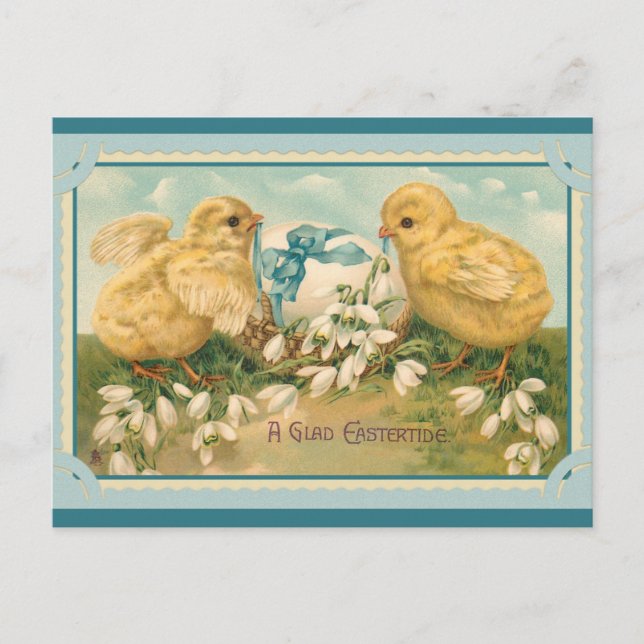 Easter Greetings Cute Vintage Chick Postcard (Front)