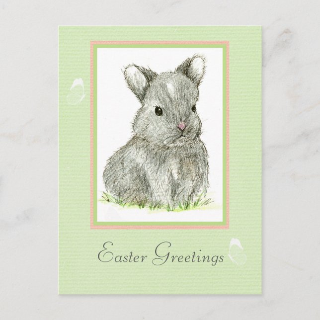 Easter Greetings Gray Baby Bunny Rabbit Holiday Postcard (Front)