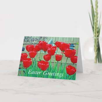 Easter  Greetings Holiday Card by kkphoto1 at Zazzle