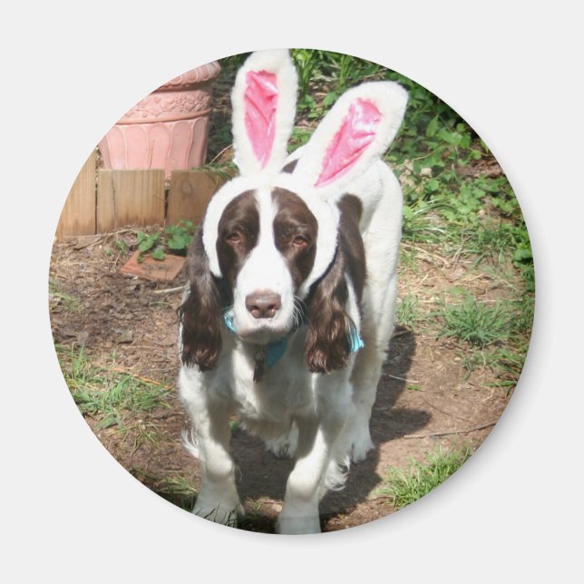 Easter Hank Magnet (Front)