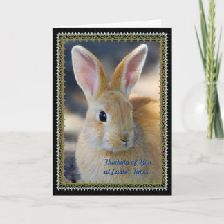 Easter Holiday Greeting Card