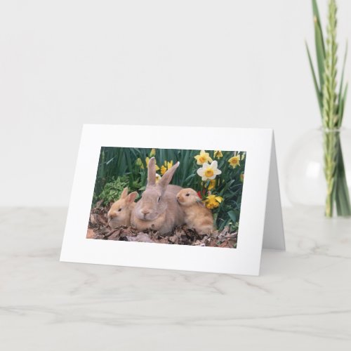 EASTER IS HERESPRING IS NEAR SAYS BUNNY FAMILY HOLIDAY CARD