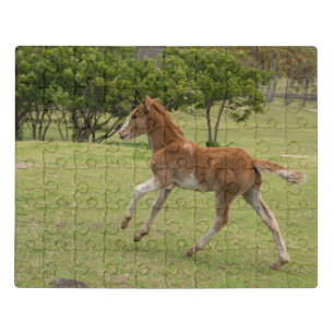 Easter Island aka Rapa Nui Jigsaw Puzzle