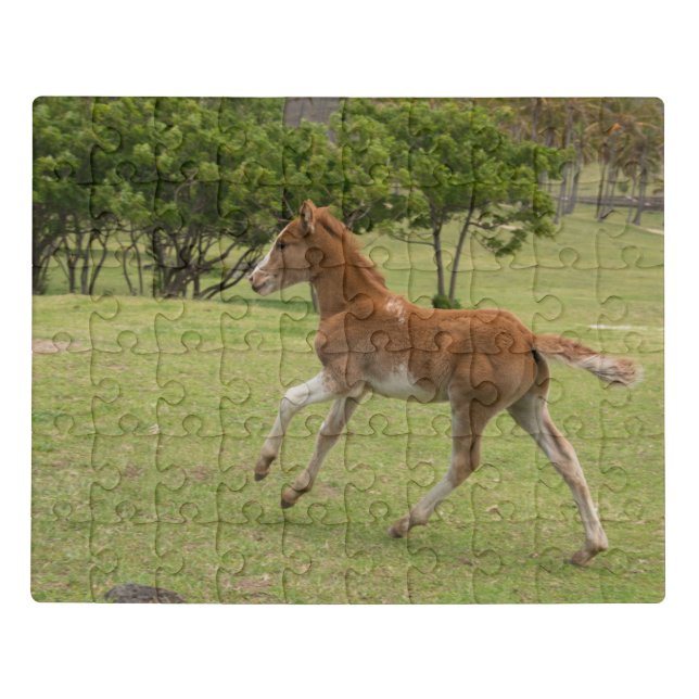 Easter Island aka Rapa Nui Jigsaw Puzzle (Puzzle Horizontal)