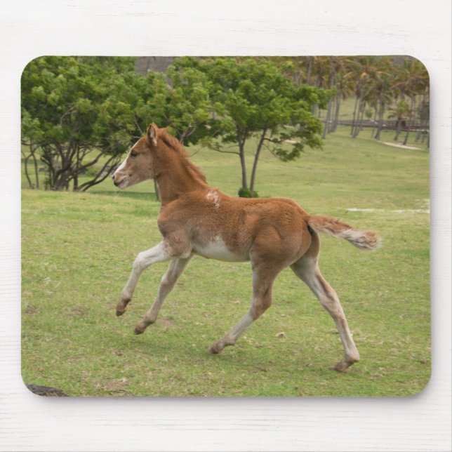 Easter Island aka Rapa Nui Mouse Pad (Front)