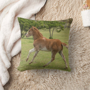 Easter Island aka Rapa Nui Throw Pillow