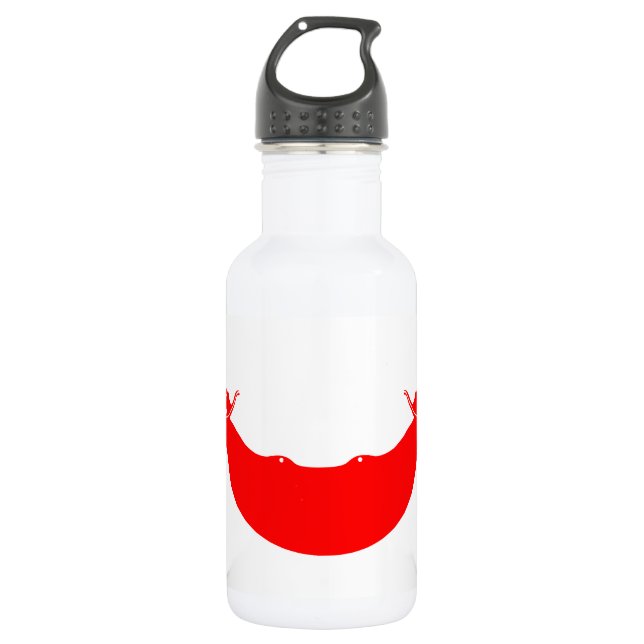 Easter Island Flag Stainless Steel Water Bottle (Front)