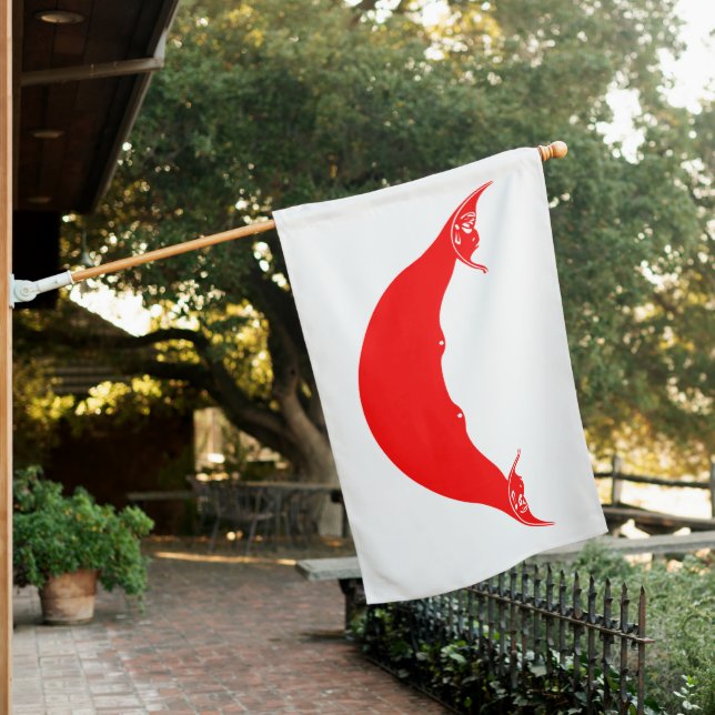Easter Island Rapa Nui House Flag (In SItu)