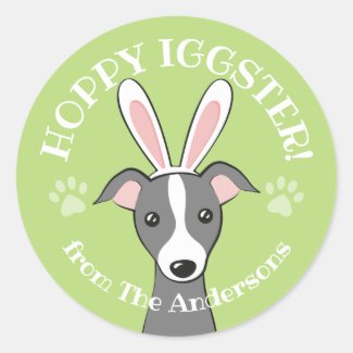 Easter Italian Greyhound Dog Cute Bunny ears Green