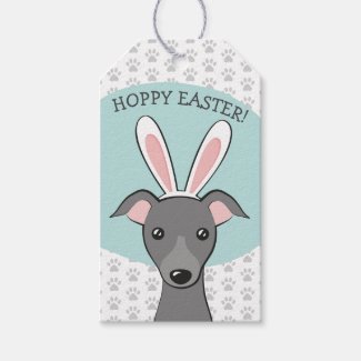 Easter Italian Greyhound Grey Dog Cute Bunny ears
