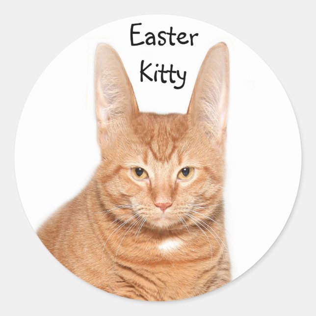 Easter kitty classic round sticker (Front)