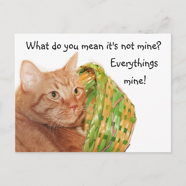 Easter kitty holiday postcard (Front)