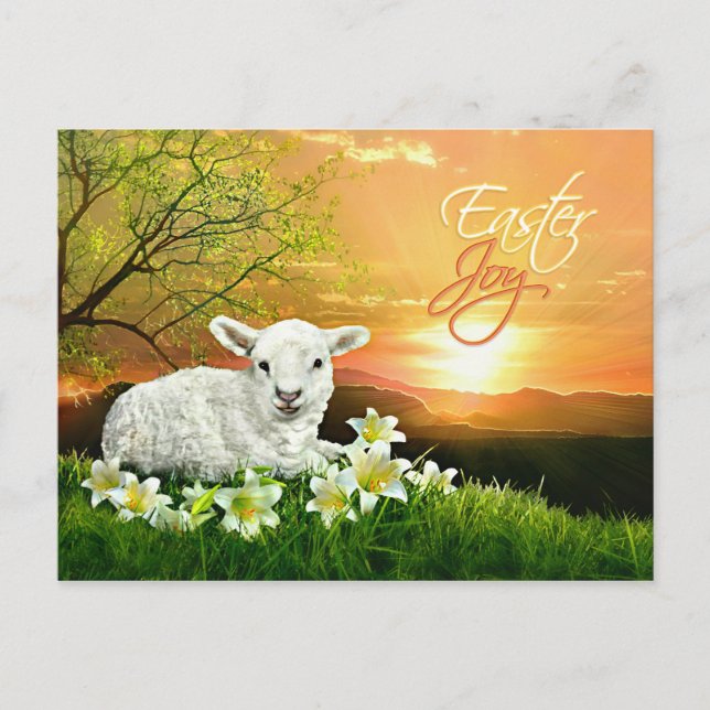 Easter Lamb and Sunrise with Easter Lilies Holiday Postcard (Front)
