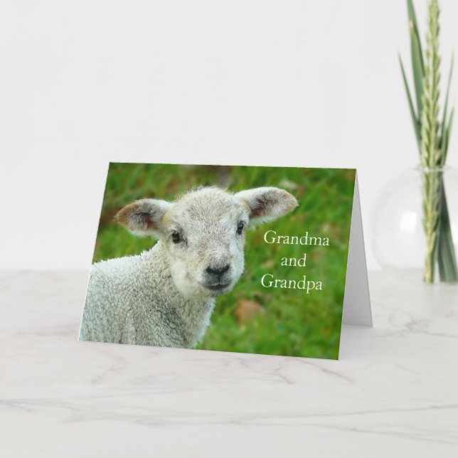 Easter Lamb Grandparents Holiday Card (Front)