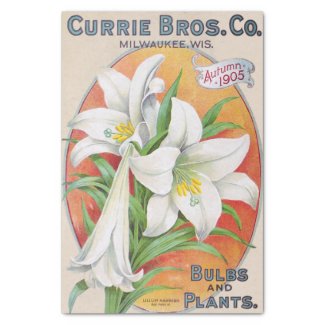 Easter Lily 1905 Vintage Floral Tissue Paper