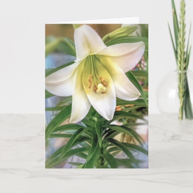 Easter lily  card (Front)