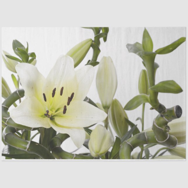 Easter Lily Floral Decoupage Tissue Paper (Front)