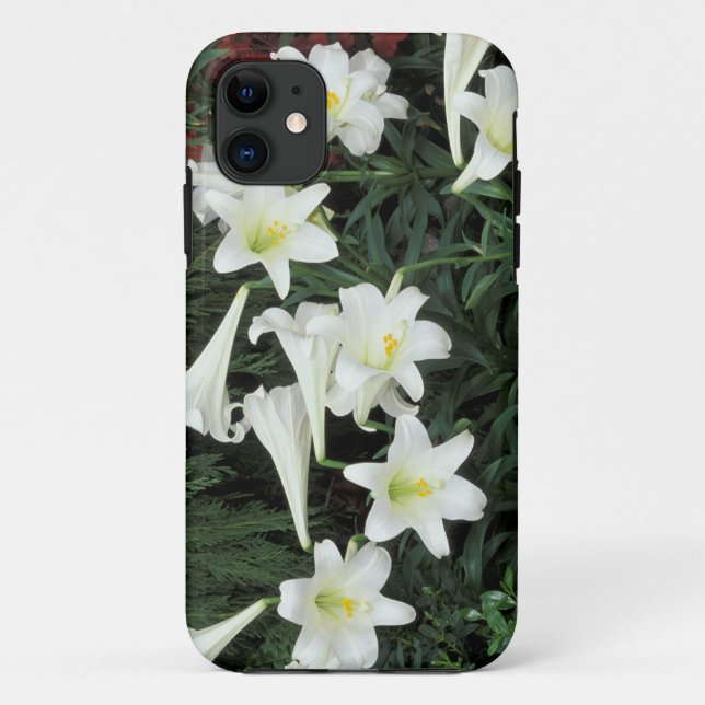 Easter Lily (Lilium regale) Case-Mate iPhone Case (Back)
