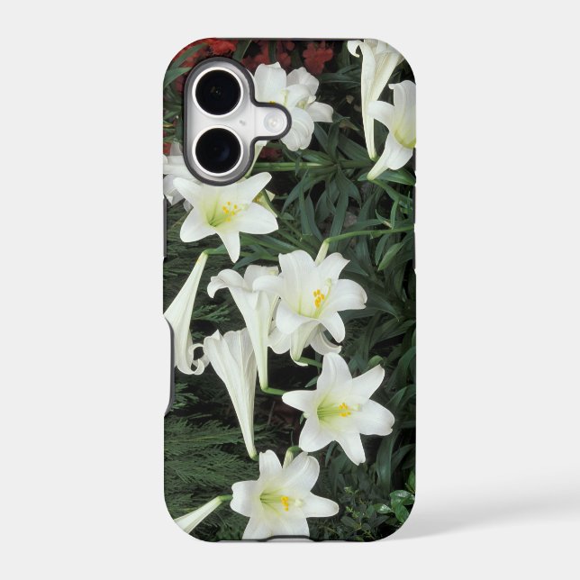 Easter Lily (Lilium regale) Iphone Case (Back)