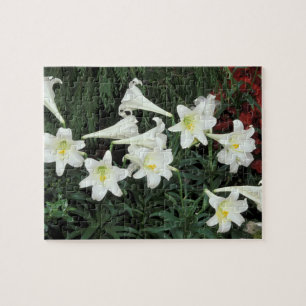 Easter Lily (Lilium regale) Jigsaw Puzzle