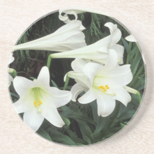 Easter Lily (Lilium regale) Sandstone Coaster