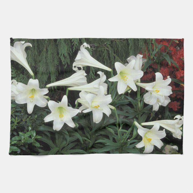 Easter Lily (Lilium regale) Towel (Horizontal)