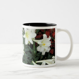 Easter Lily (Lilium regale) Two-Tone Coffee Mug