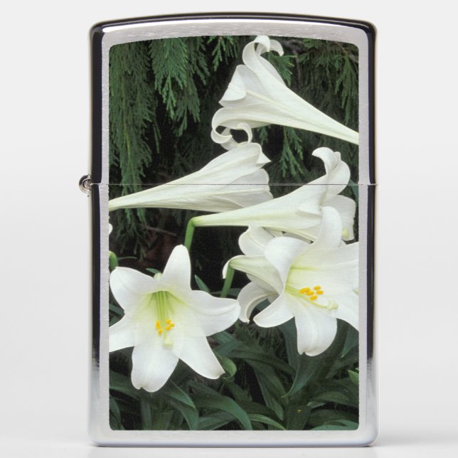 Easter Lily (Lilium regale) Zippo Lighter (Front)