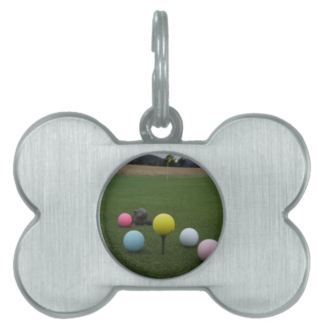 Easter mountain golf course pet tag (Front)