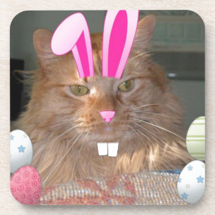 Easter Orange Tabby Kitty Cat Beverage Coaster
