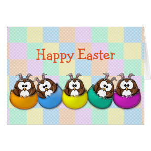 Easter owl - rainbow