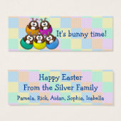 Easter owl - rainbow (Front & Back)