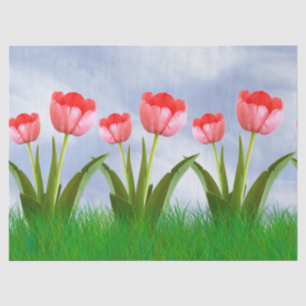 Easter Pink Tulips Floral Photography & Blue Sky Tissue Paper