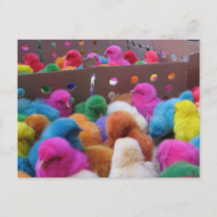 Easter postcard