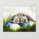 Funny Chocolate Easter Bunny Holiday Postcard | Zazzle.com