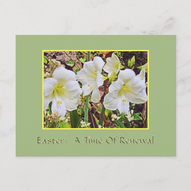 EASTER POSTCARD/WHITE DAYLILIES POSTCARD (Front)