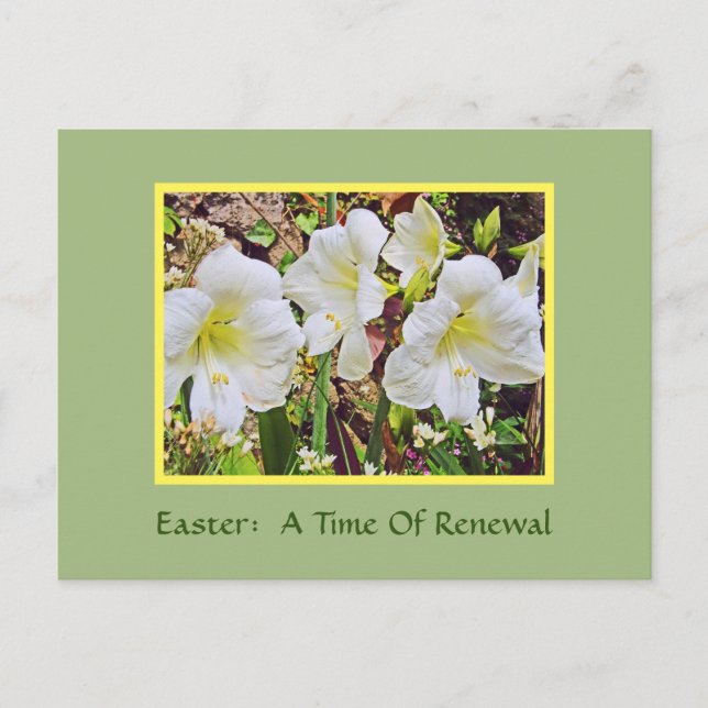 EASTER POSTCARD/WHITE DAYLILIES POSTCARD (Front)