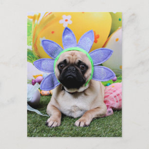 Easter - Pug - Louie Holiday Postcard