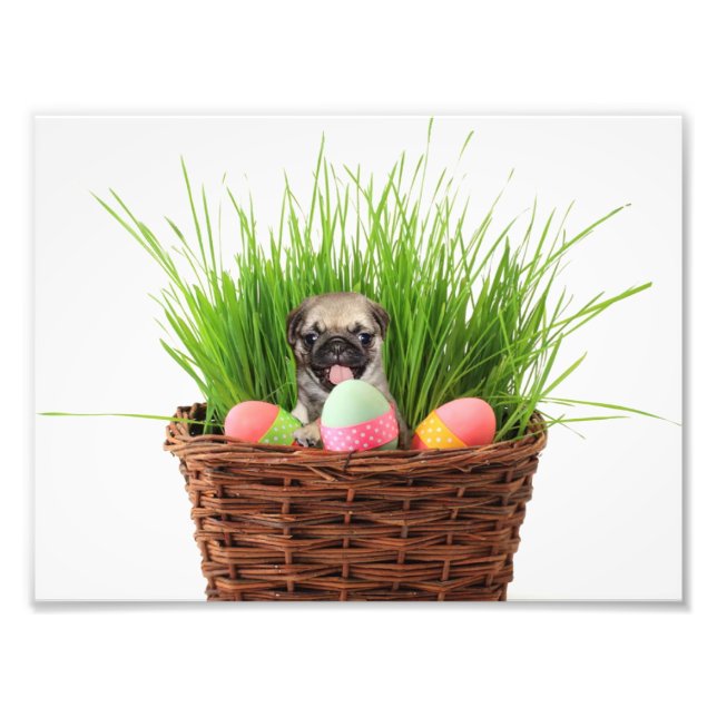 Easter pug puppy photo print (Front)
