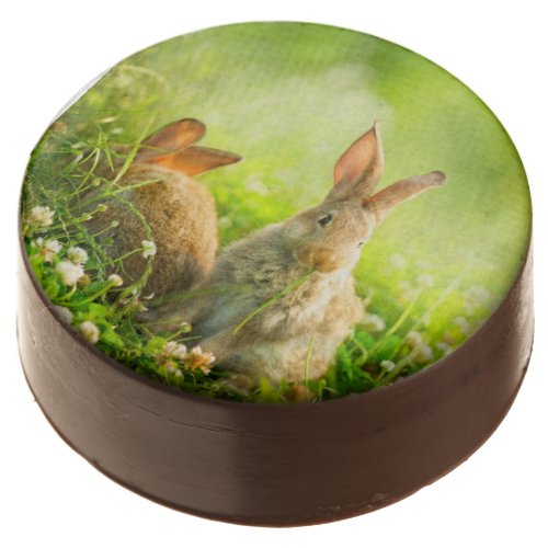 Easter Rabbits Chocolate Covered Oreo