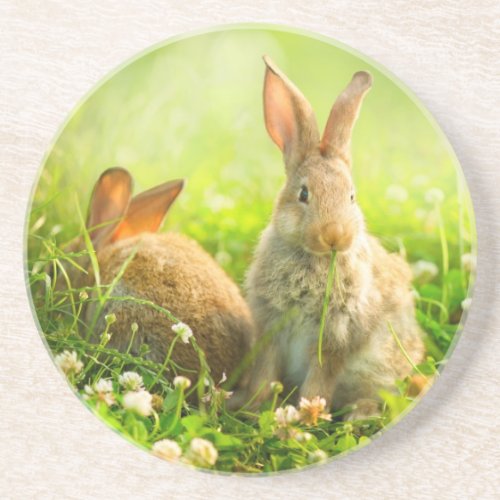 Easter Rabbits Coaster