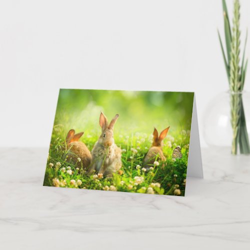 Easter Rabbits Holiday Card