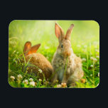 Easter Rabbits Magnet<br><div class="desc">Rabbits. Beauty Art Design of Cute Little Easter Bunny in the Meadow. Spring Flowers and Green Grass. Sunbeams © and ® Bigstock® - All Rights Reserved.</div>