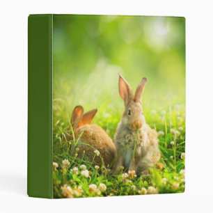 Easter Rabbits Mini Binder