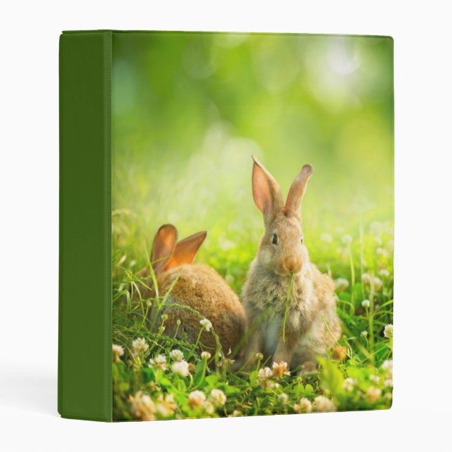 Easter Rabbits Mini Binder (Front/Spine)