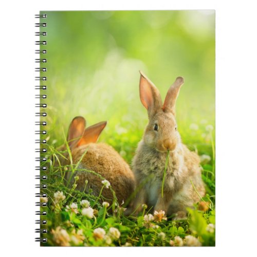 Easter Rabbits Notebook