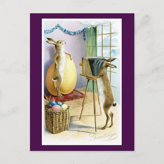 Easter Rabbits Picture Time Holiday Postcard (Front)
