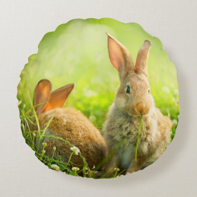 Easter Rabbits Round Pillow (Front)