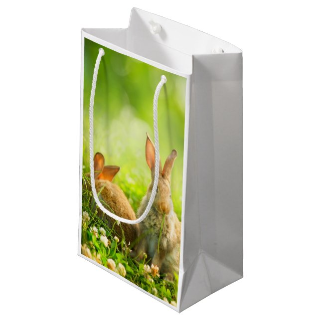 Easter Rabbits Small Gift Bag (Front Angled)